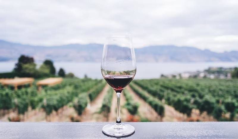 A glass of red wine on a ledge overlooking a vineyard
